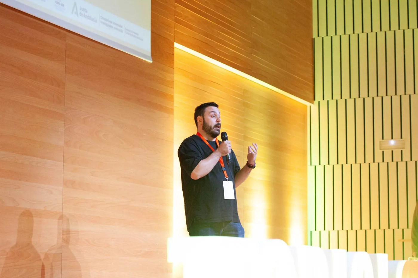 Ponencia sobre innovación